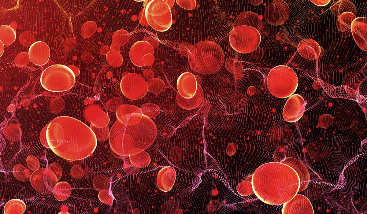 Red blood cells