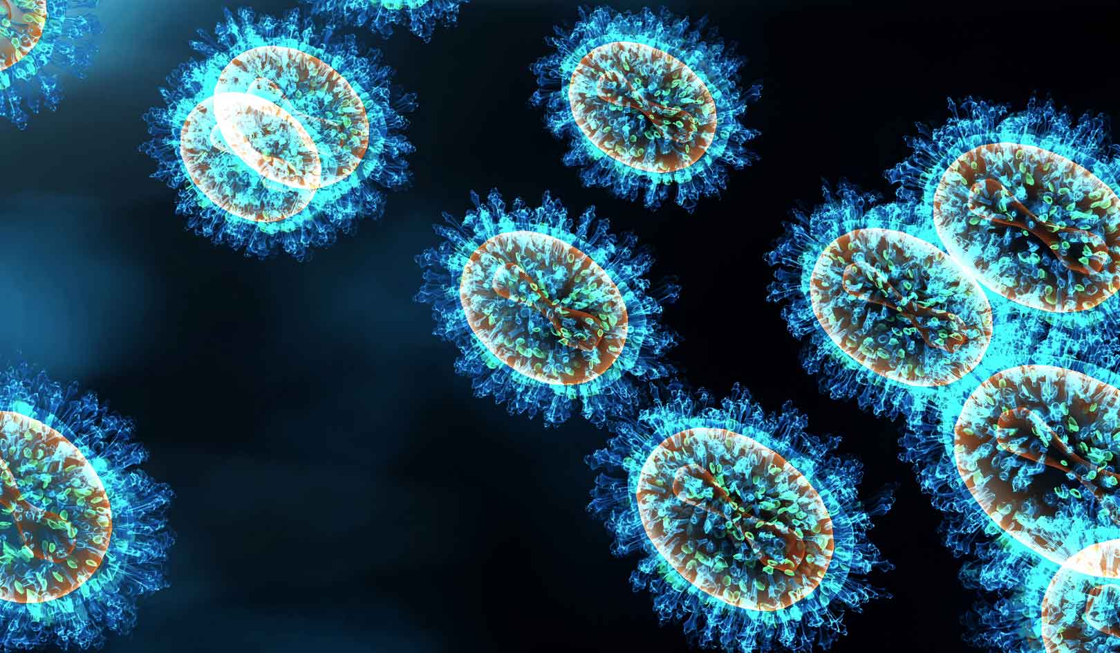 antibiotic resistent bacteria