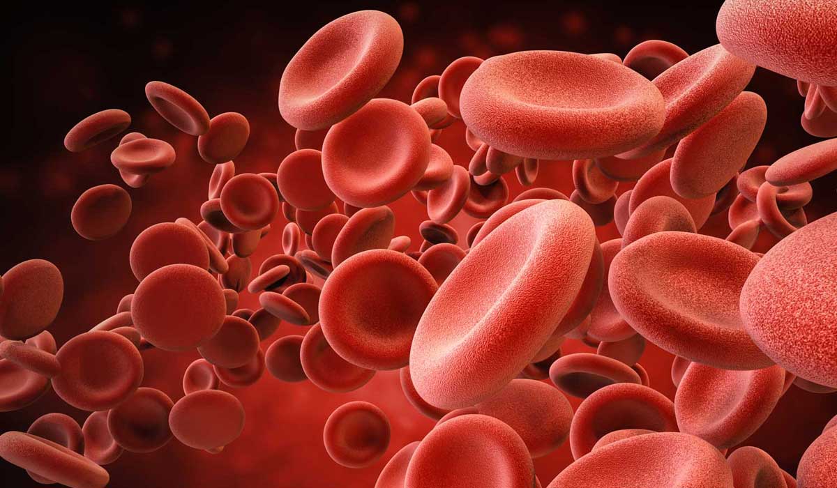 Red blood cells